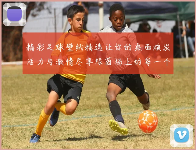 精彩足球壁纸精选让你的桌面焕发活力与激情尽享绿茵场上的每一个瞬间