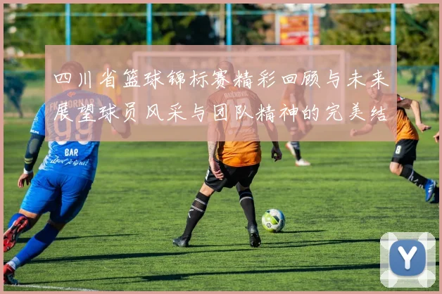 四川省篮球锦标赛精彩回顾与未来展望球员风采与团队精神的完美结合