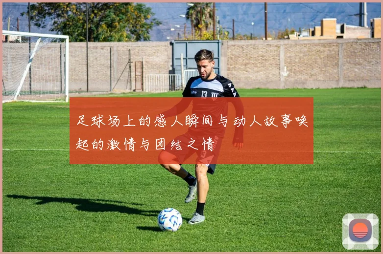 足球场上的感人瞬间与动人故事唤起的激情与团结之情
